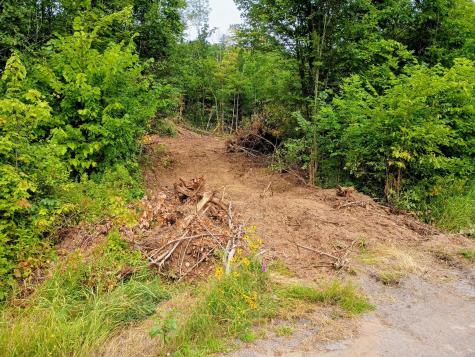 197 Moss Road Lewis NY 12950