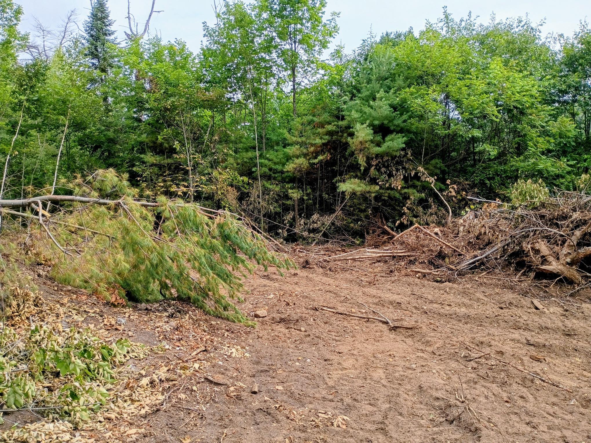 197 Moss Road Lewis NY 12950