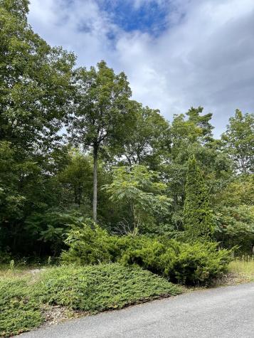 0 Bluff Point Drive Lot 73 Plattsburgh NY 12901