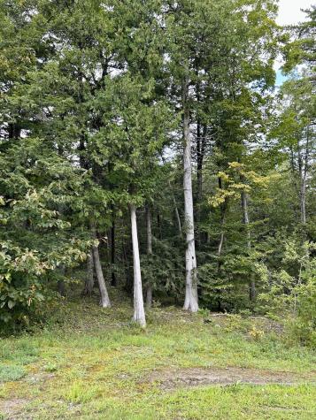 0 Bluff Point Drive Lot 73 Plattsburgh NY 12901