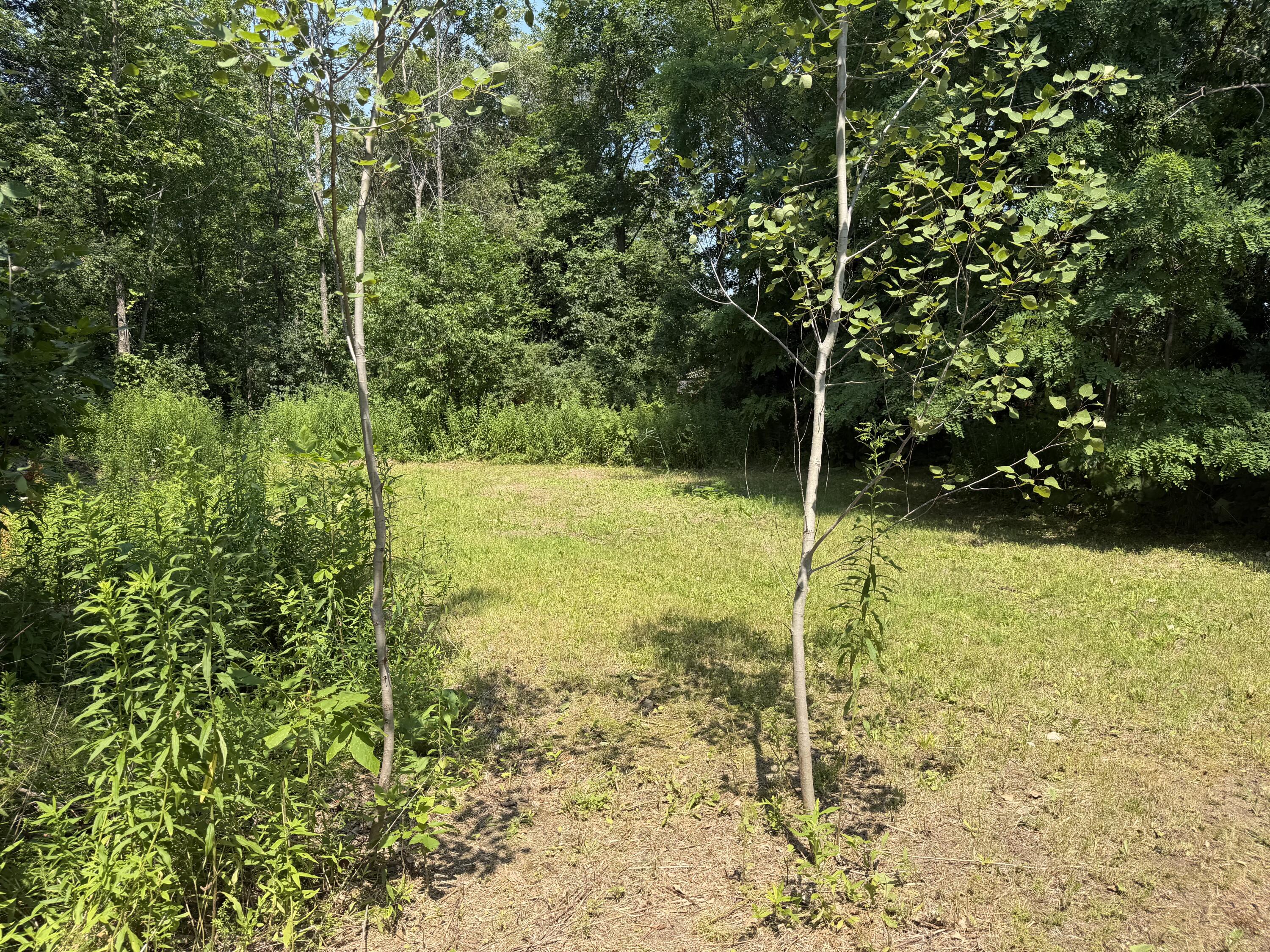 184 Butler Road Plattsburgh NY 12901