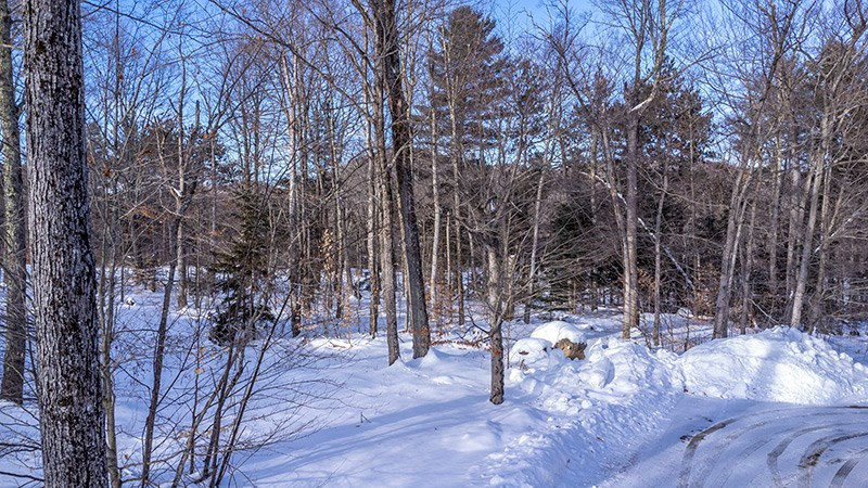 10 Spread Eagle Way Lake Placid NY 12946