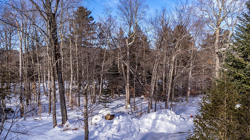 10 Spread Eagle Way Lake Placid NY 12946