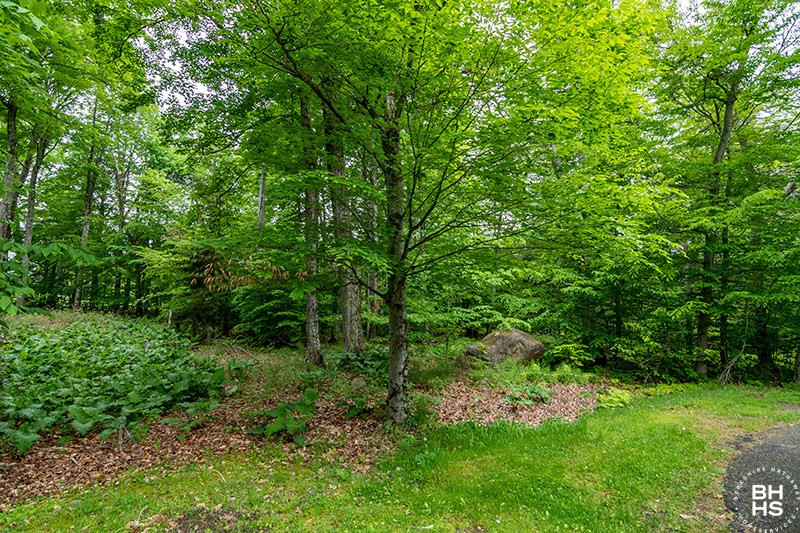 10 Spread Eagle Way Lake Placid NY 12946