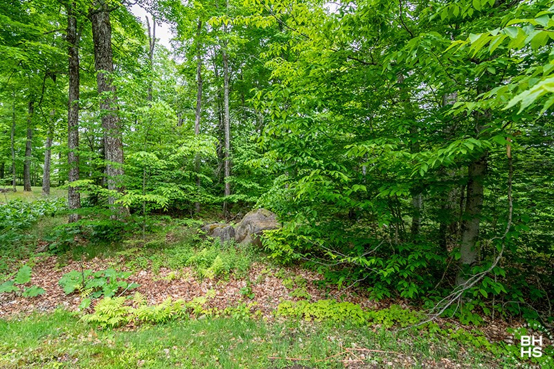 10 Spread Eagle Way Lake Placid NY 12946