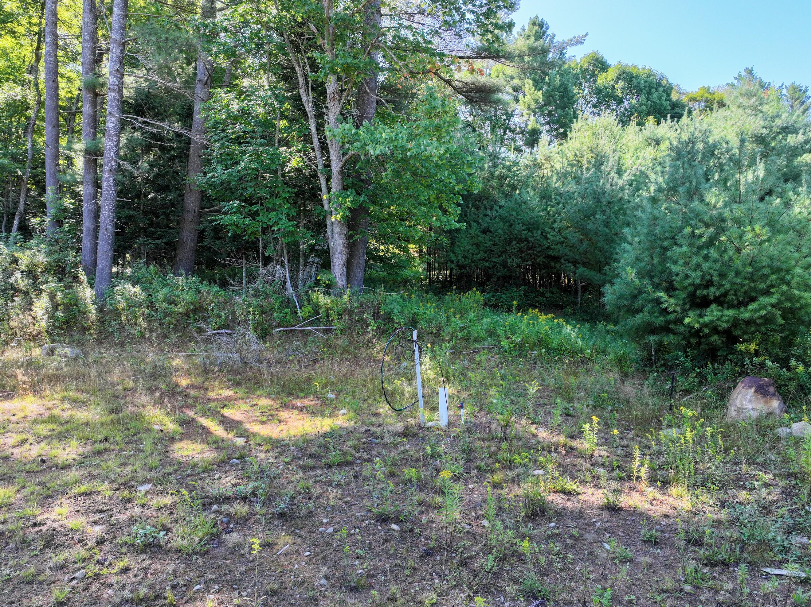 L39 Off Flowers Way Long Lake NY 12847