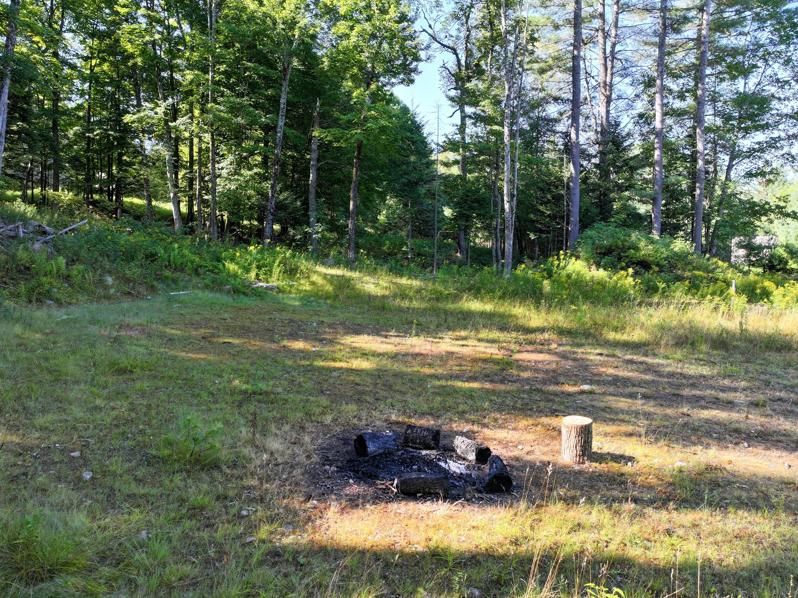 L39 Off Flowers Way Long Lake NY 12847