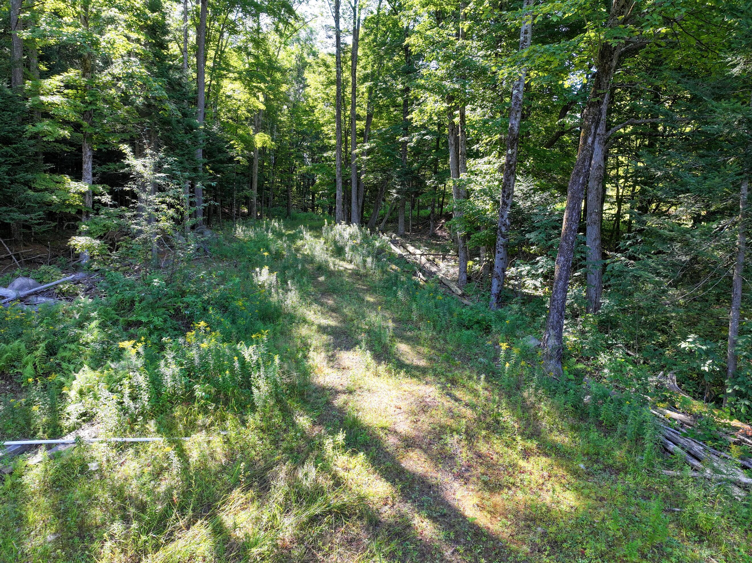 L39 Off Flowers Way Long Lake NY 12847