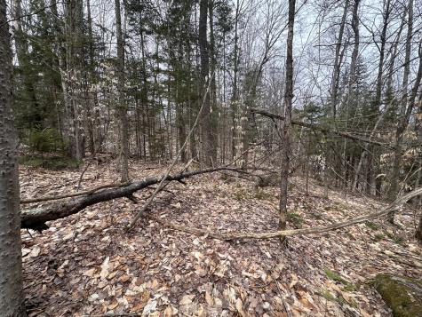 0 Johnson Road Malone NY 12953