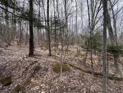 0 Johnson Road Malone NY 12953