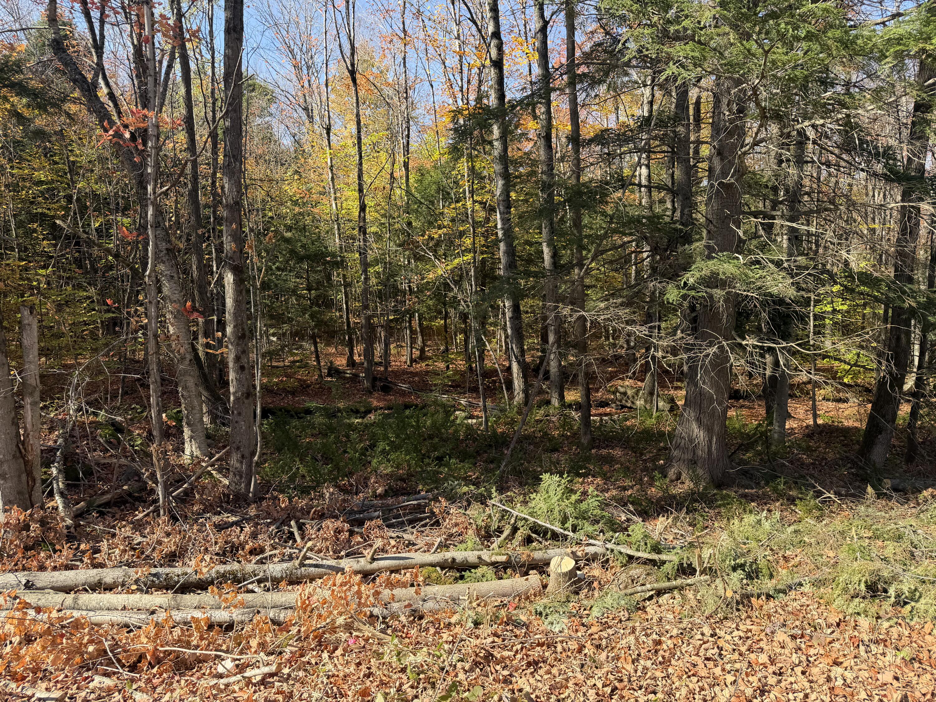 000 Rand Hill Road Altona NY 12910