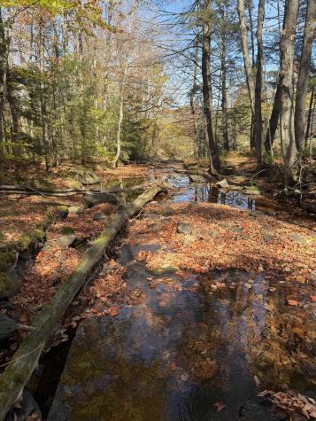 000 Rand Hill Road Altona NY 12910