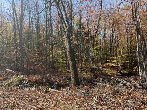 000 Rand Hill Road Altona NY 12910