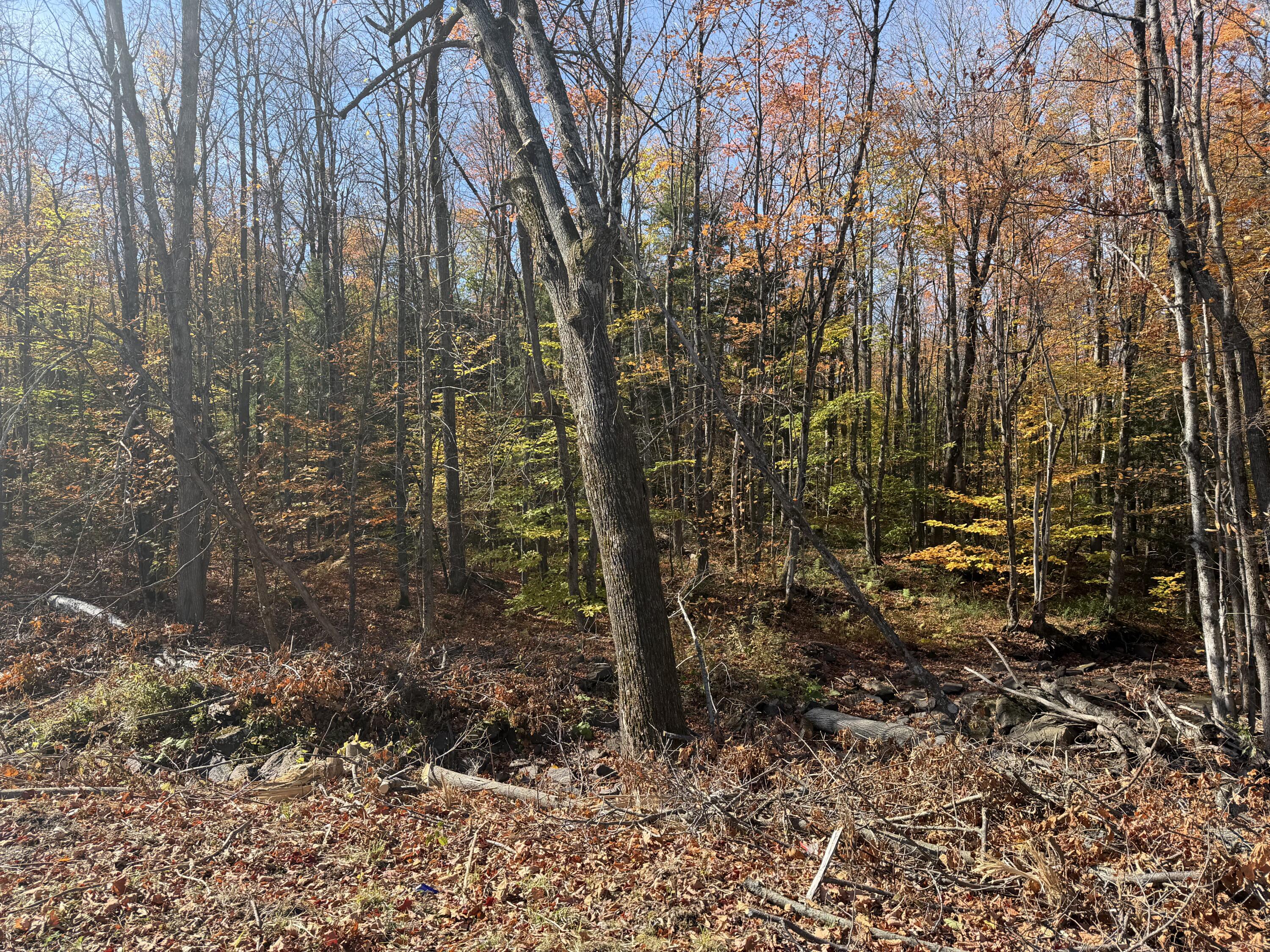 000 Rand Hill Road Altona NY 12910