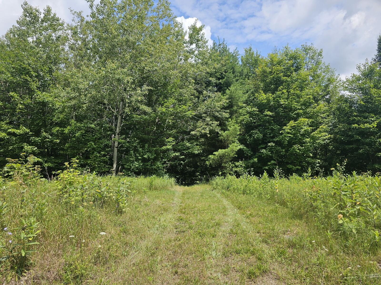 9907 Sh 3 Piercefield NY 12973