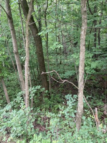 0 Riley Road Malone NY 12953
