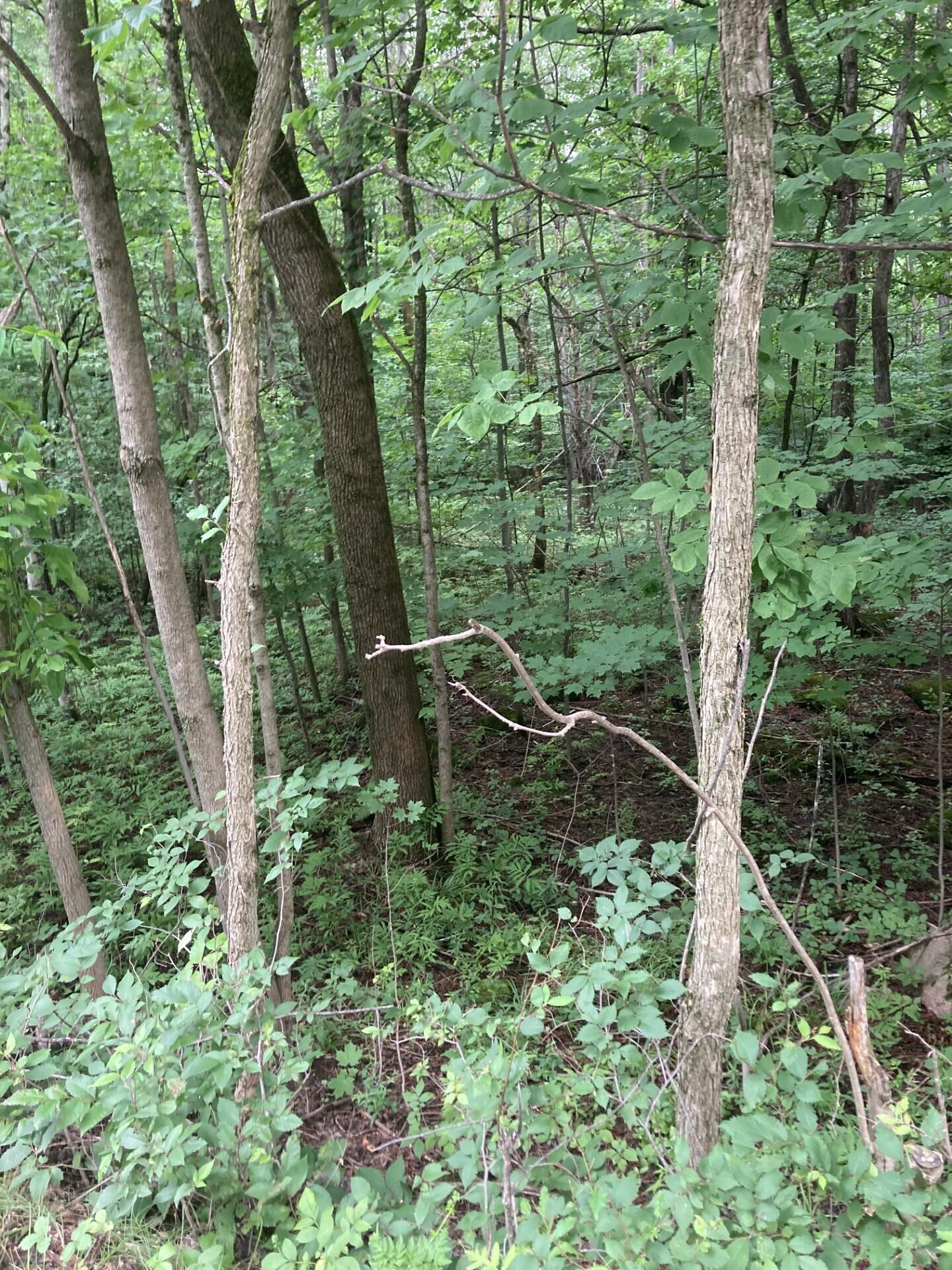 0 Riley Road Malone NY 12953