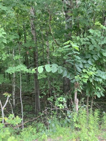 0 Riley Road Malone NY 12953