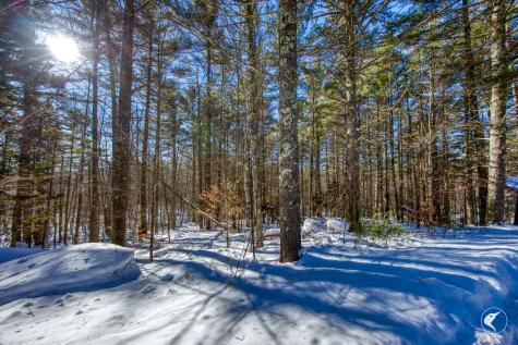 60 Indian Rock Road Wilmington NY 12997