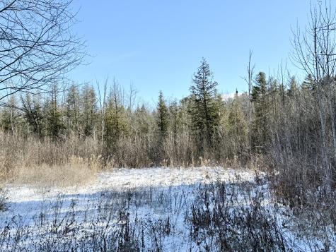 0 Hank Wilson Road Cadyville NY 12918