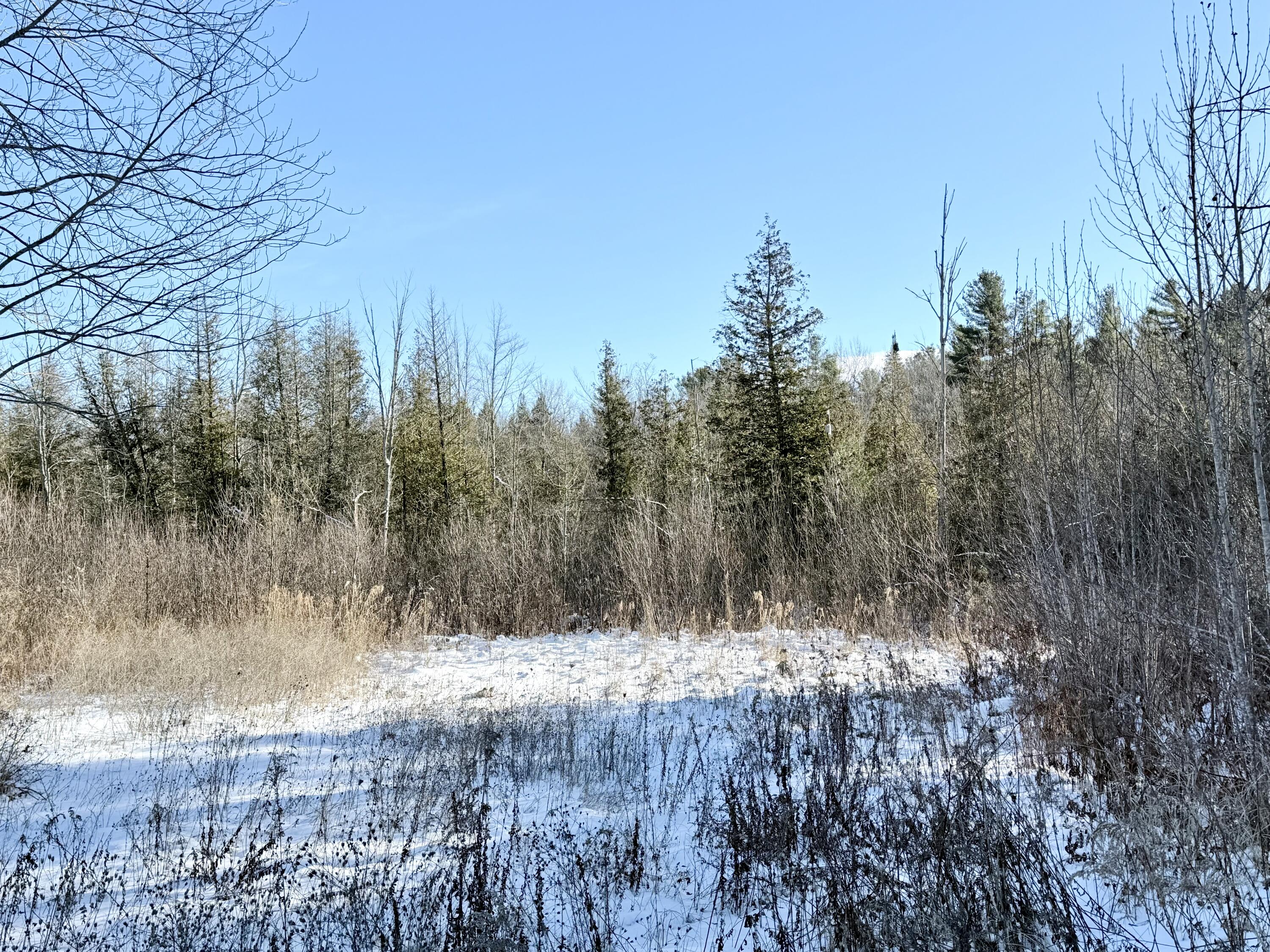 0 Hank Wilson Road Cadyville NY 12918