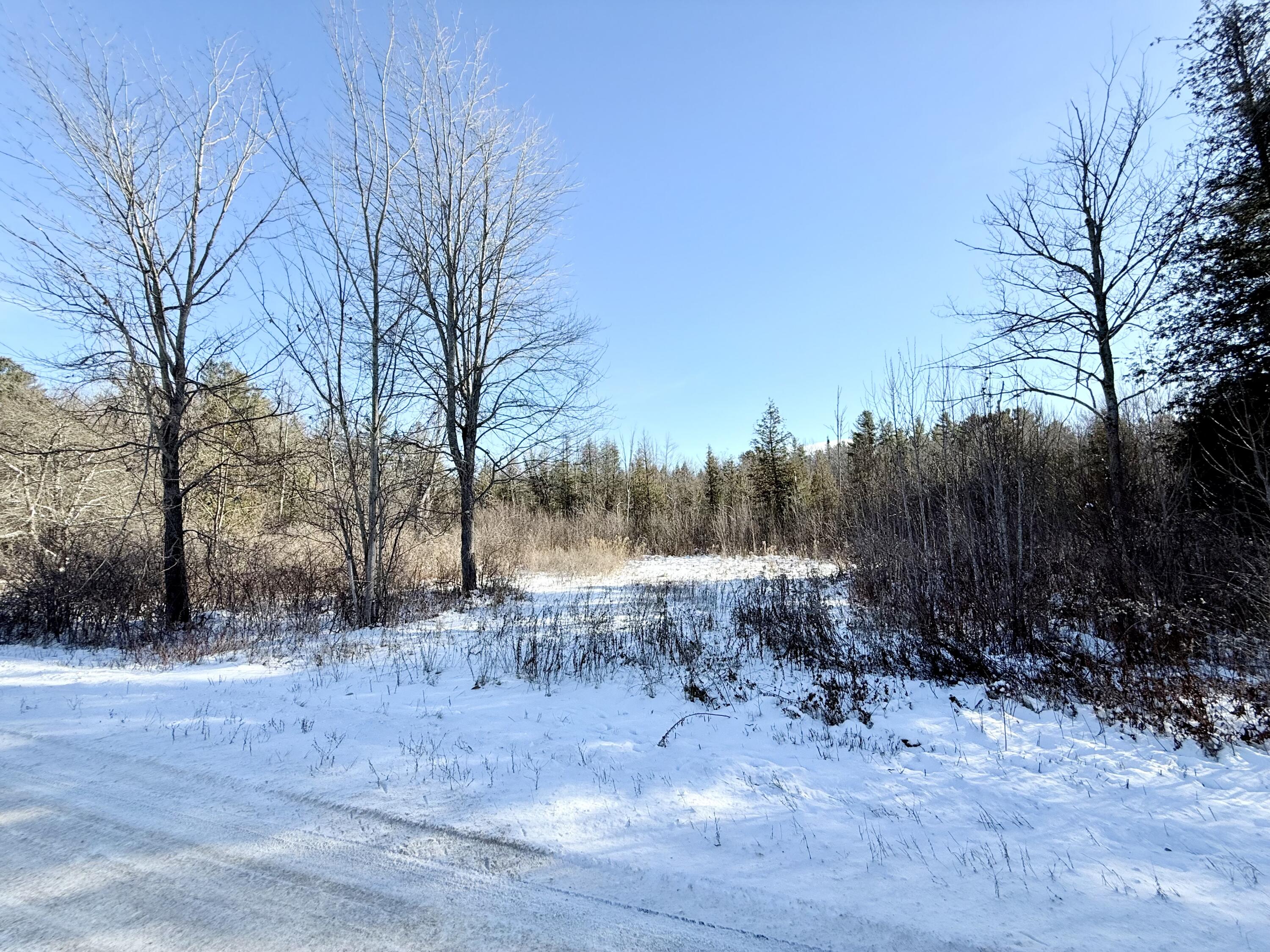 0 Hank Wilson Road Cadyville NY 12918