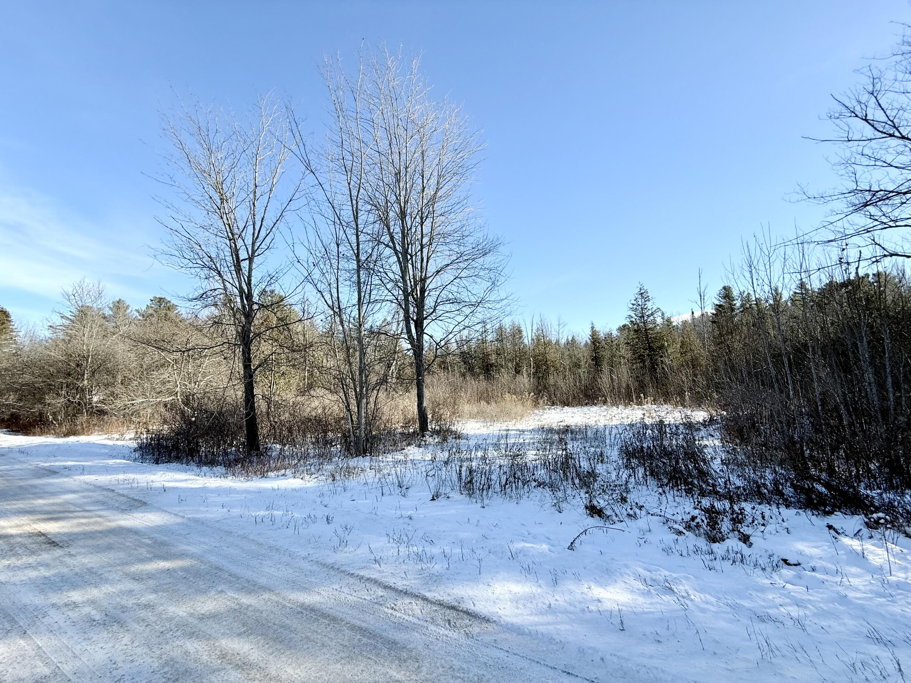 0 Hank Wilson Road Cadyville NY 12918