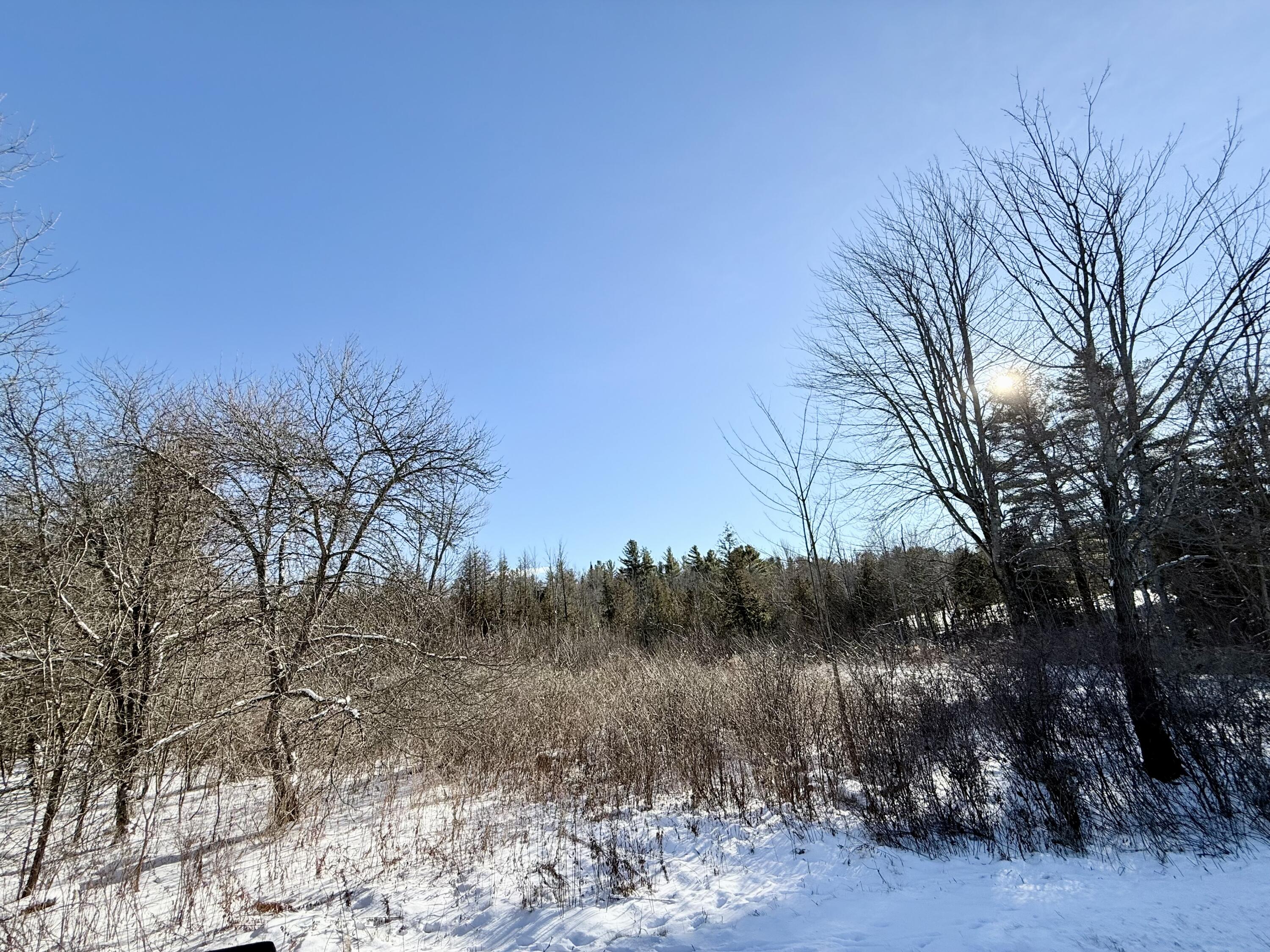 0 Hank Wilson Road Cadyville NY 12918
