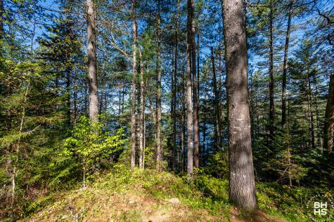 0 Eskerview Road Saranac Lake NY 12983