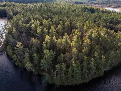 0 Eskerview Road Saranac Lake NY 12983