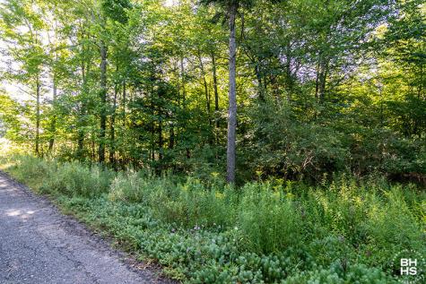 Lot 18 Mt Pisgah Park Saranac Lake NY 12983