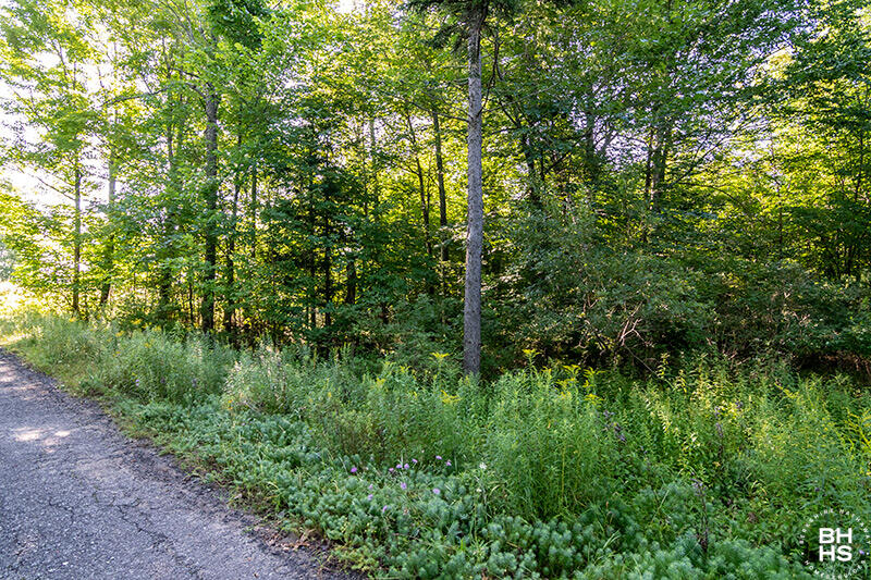 Lot 18 Mt Pisgah Park Saranac Lake NY 12983