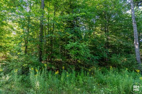Lot 18 Mt Pisgah Park Saranac Lake NY 12983