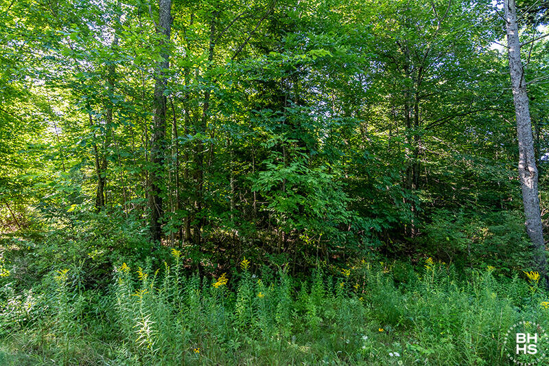 Lot 18 Mt Pisgah Park Saranac Lake NY 12983