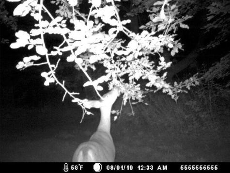 719 Cannon Corners Road Mooers Forks NY 12959