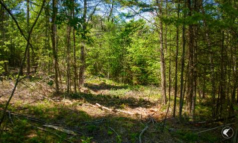 571 Stickney Bridge Road Jay NY 12941