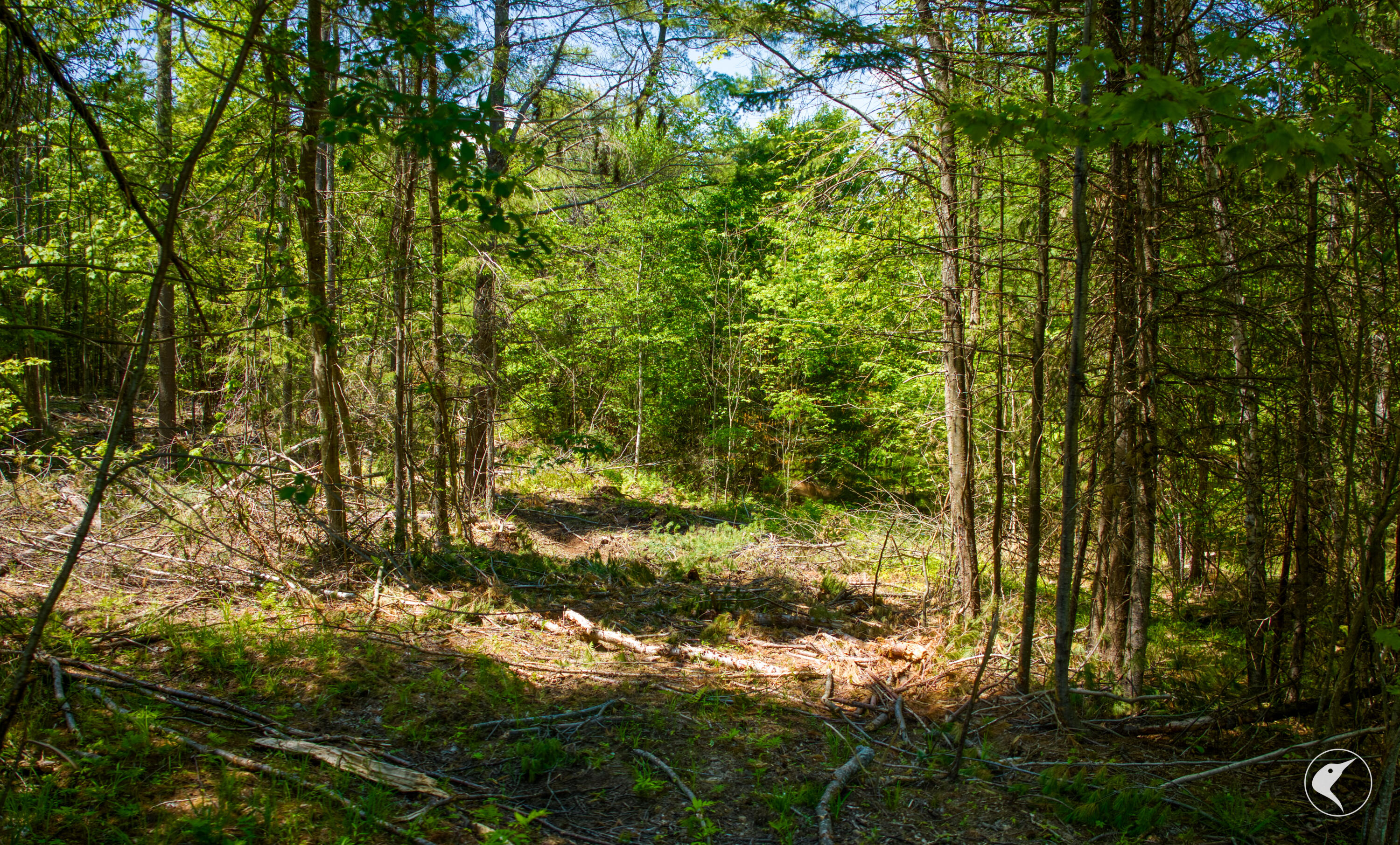 571 Stickney Bridge Road Jay NY 12941