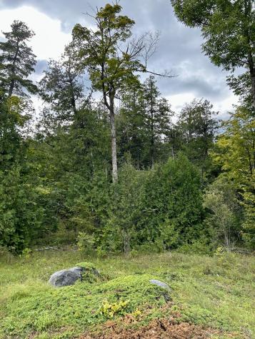 0 Bluff Point Dr Lot 46 Plattsburgh NY 12901