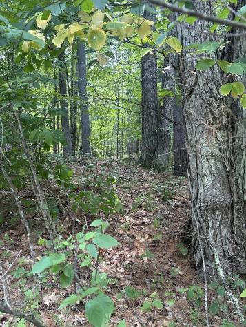 129 Cottontail Lane Jay NY 12941