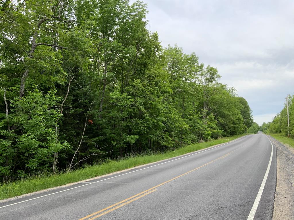 0 Ore Bed Road Black Brook NY 12912