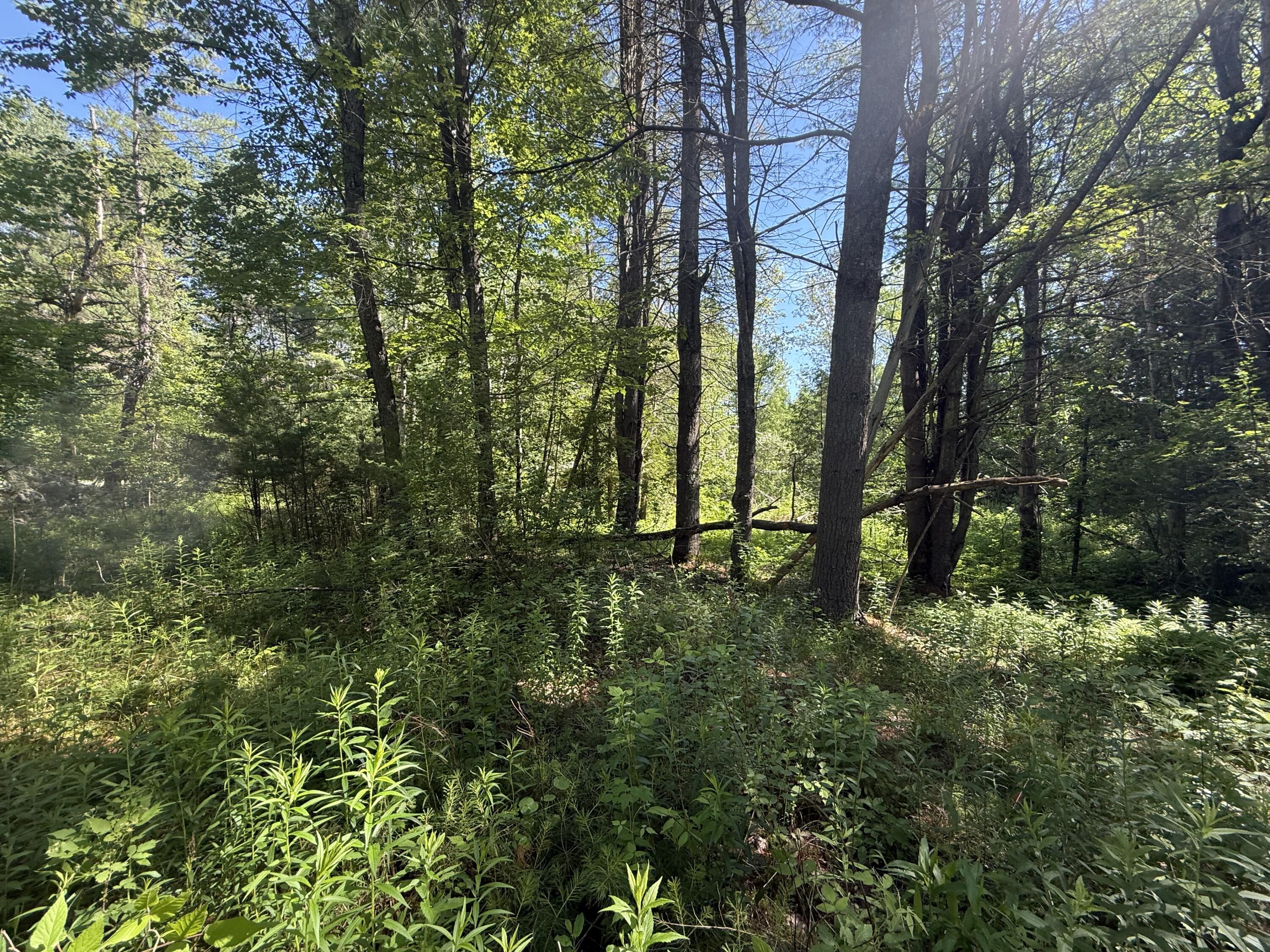 0 Quaker Highlands Road Peru NY 12972