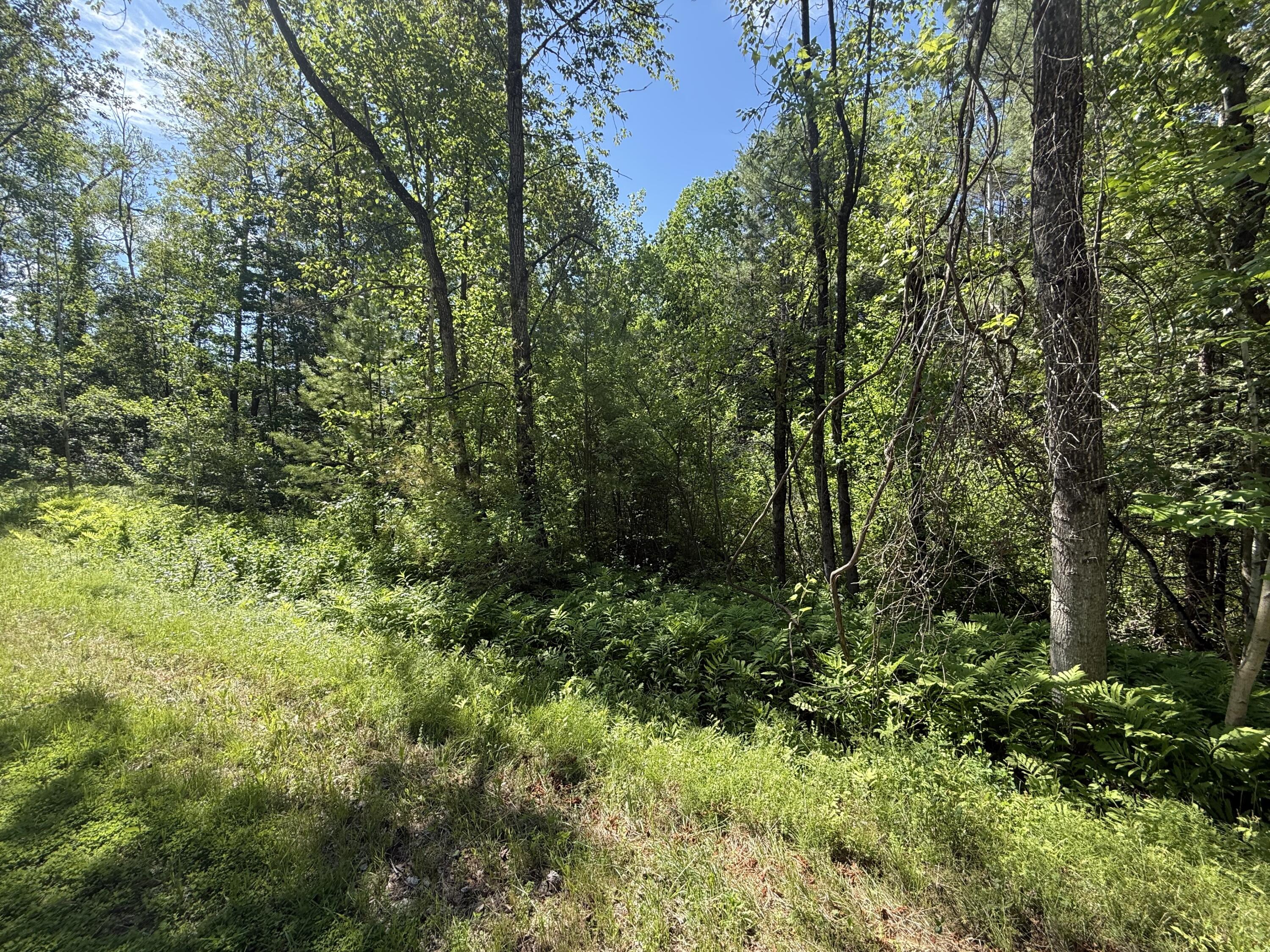 0 Quaker Highlands Road Peru NY 12972