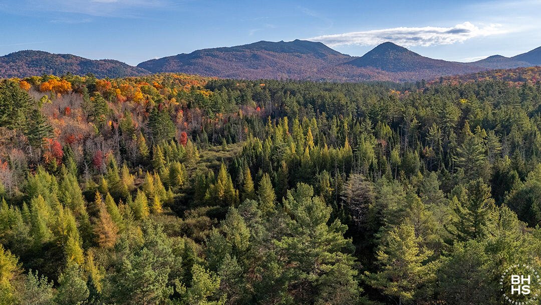 53 Lucky Way Saranac Lake NY 12983