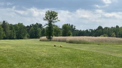 24 Golf Course Road Plattsburgh NY 12903