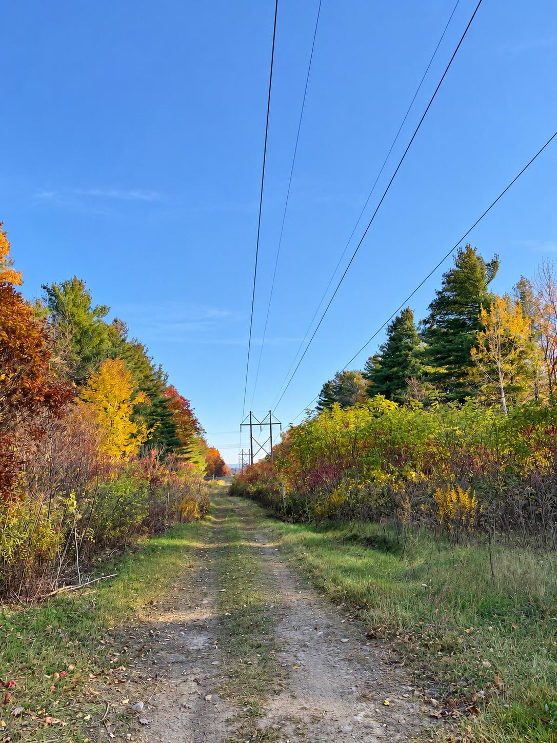 0 Seymour Road West Chazy NY 12992