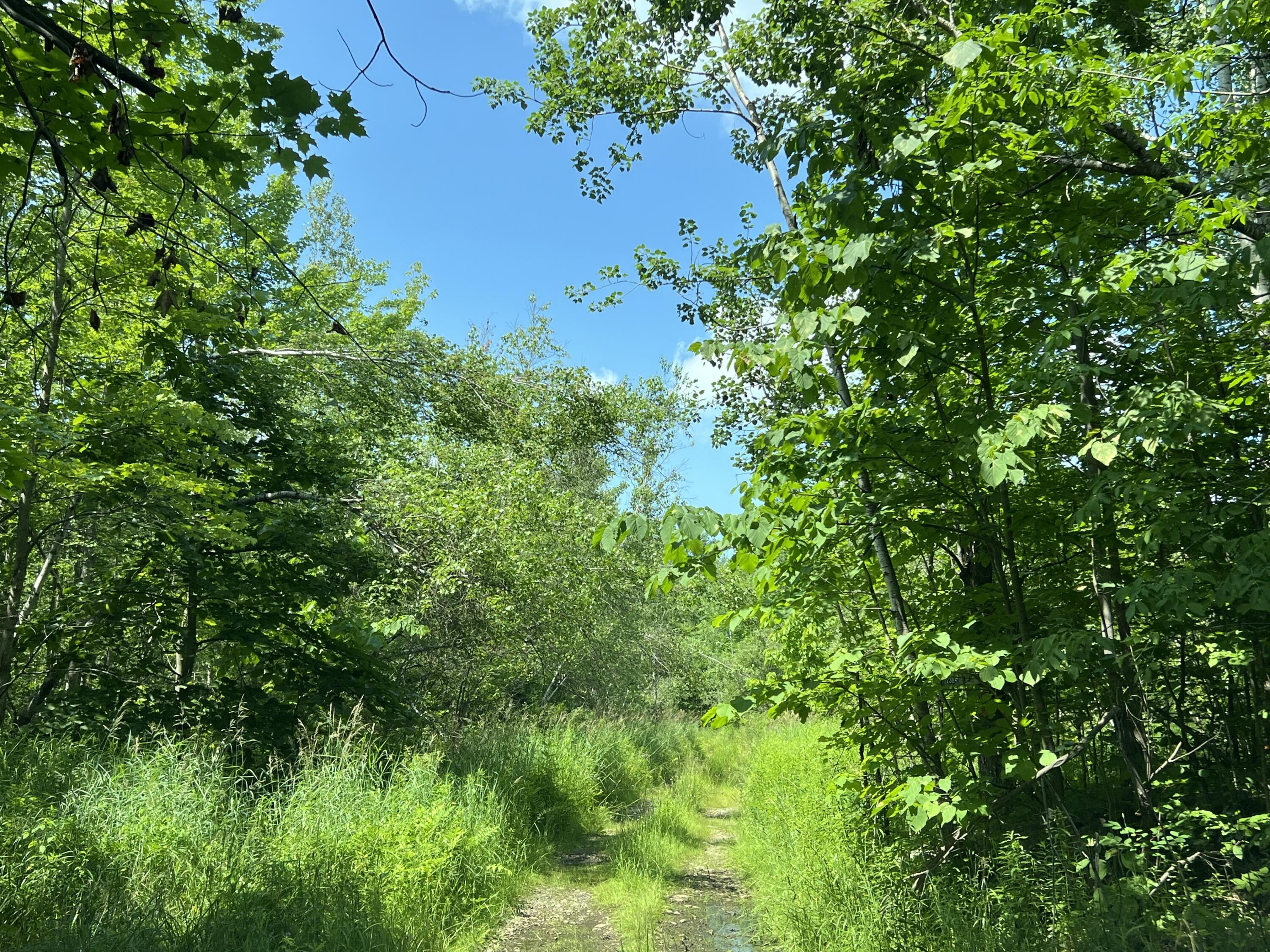 . Soucia Road Churubusco NY 12923