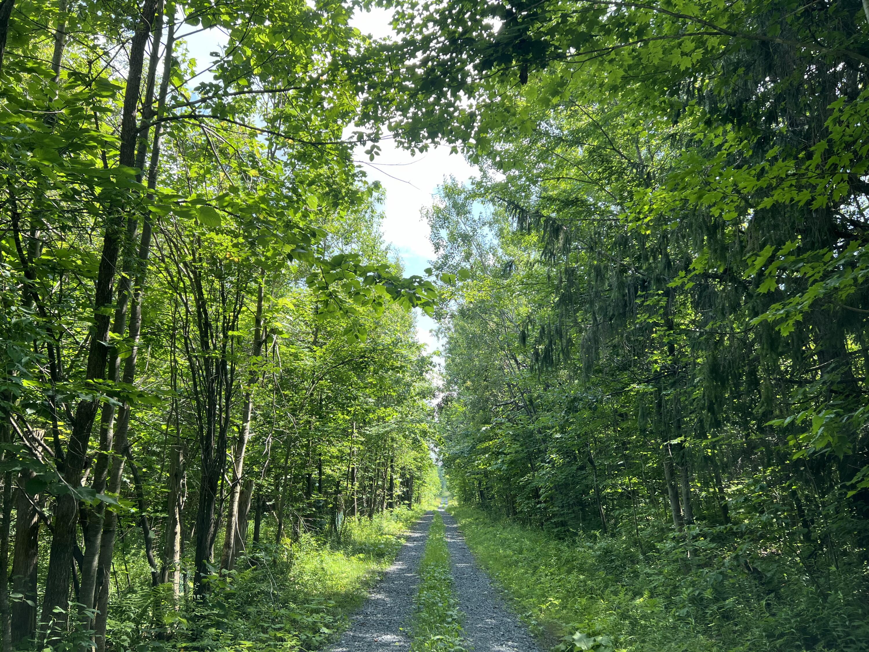 . Soucia Road Churubusco NY 12923
