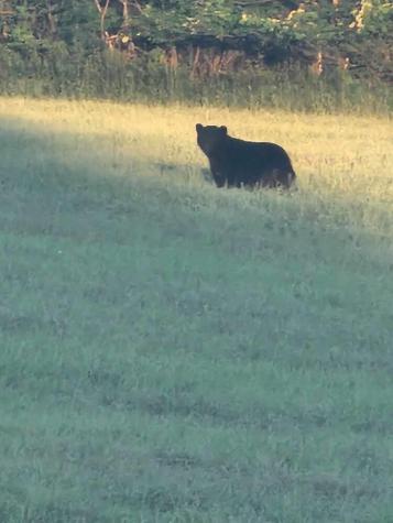 . Soucia Road Churubusco NY 12923