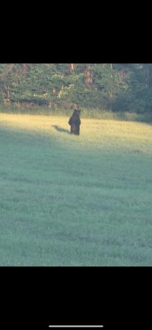 . Soucia Road Churubusco NY 12923