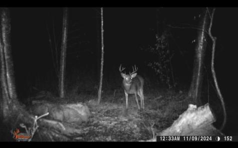 . Soucia Road Churubusco NY 12923